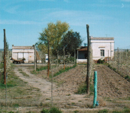 159.jpg