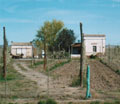159.th.jpg