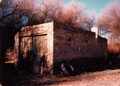 441.th.jpg